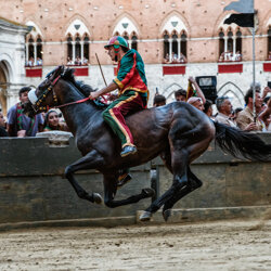 palio 2022-16